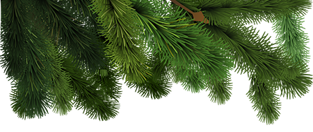 Продукты питания